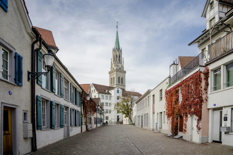 the cobble stone road has colorful leaves on the buildings