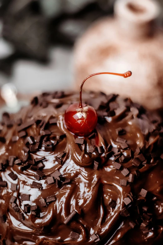 a cherry on top of a cake with chocolate sprinkles