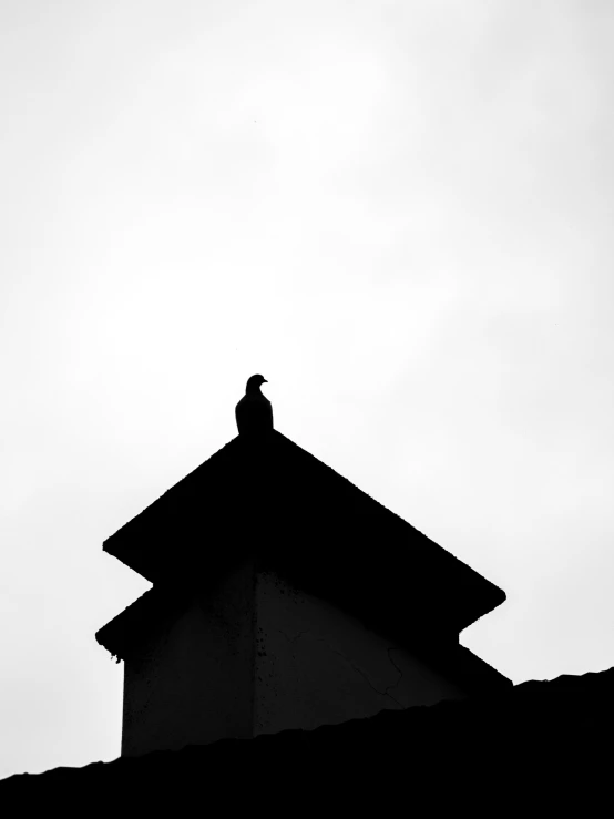 a small black bird perched on top of a roof