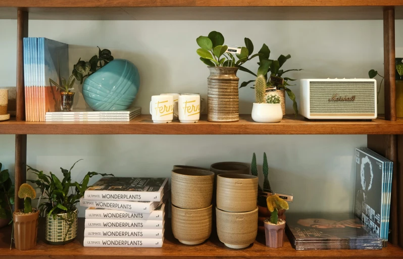 a wooden shelf filled with books and plants