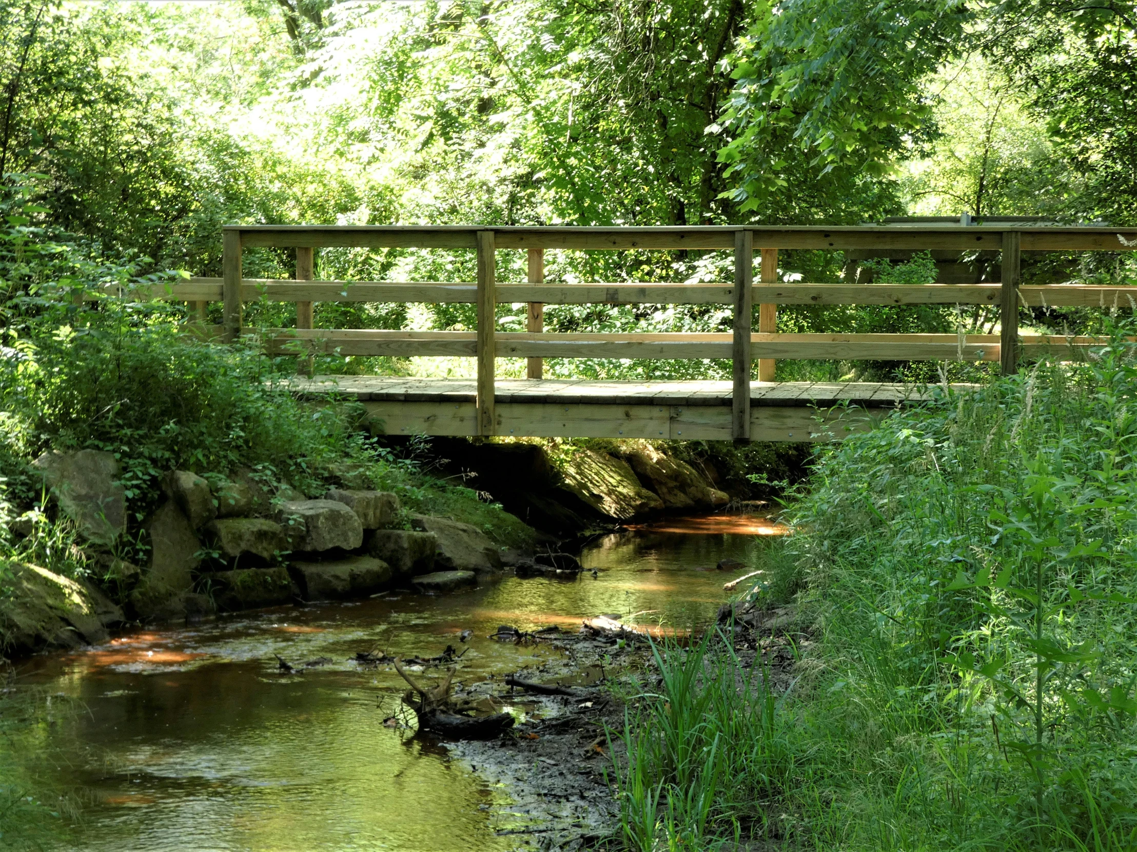 a small wooden bridge over a stream in the woods