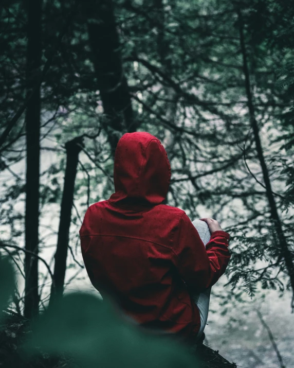 a person in a red jacket walking through a wooded area