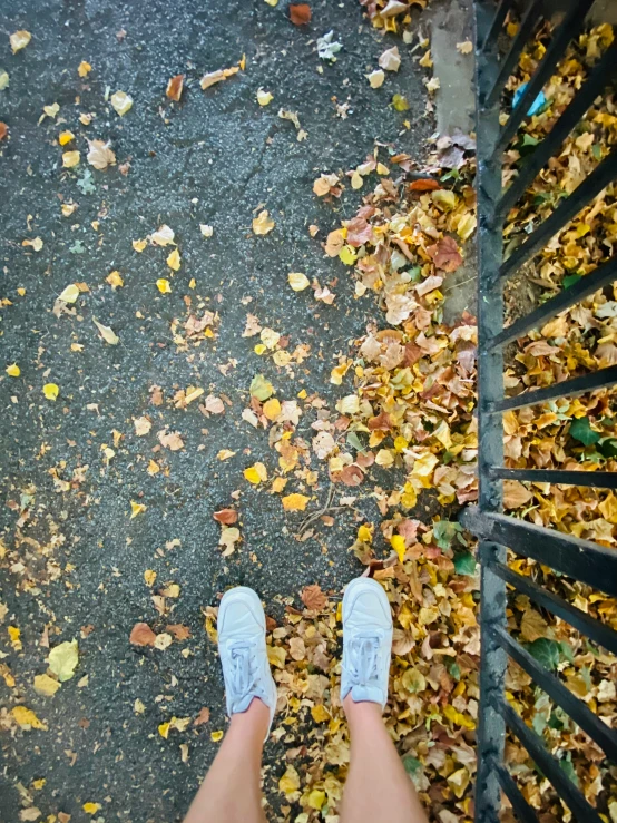 a person in blue shoes stands next to a fence with leaves