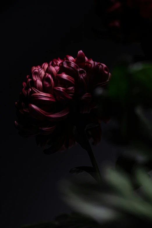 a large pink flower on the back of a chair