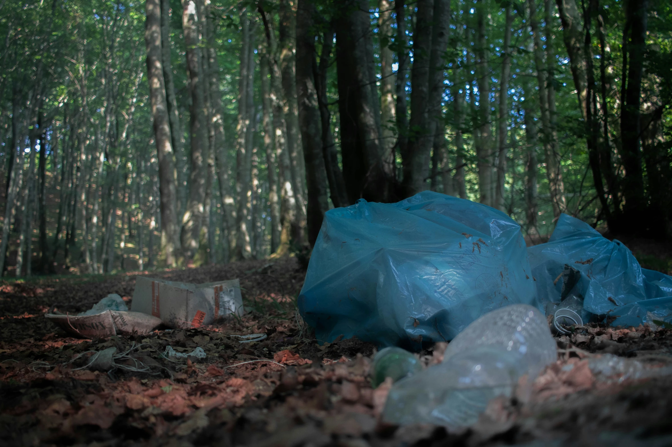 there is an empty plastic bag in the middle of a forest