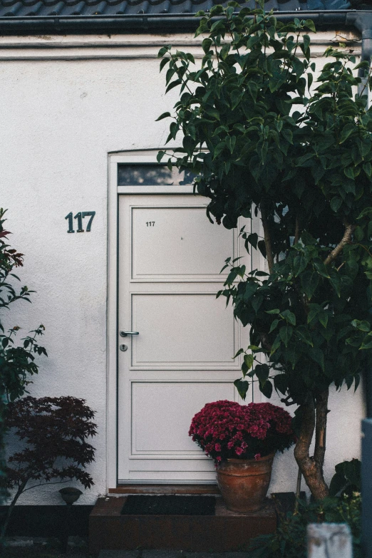 a couple of potted plants sitting in front of a door