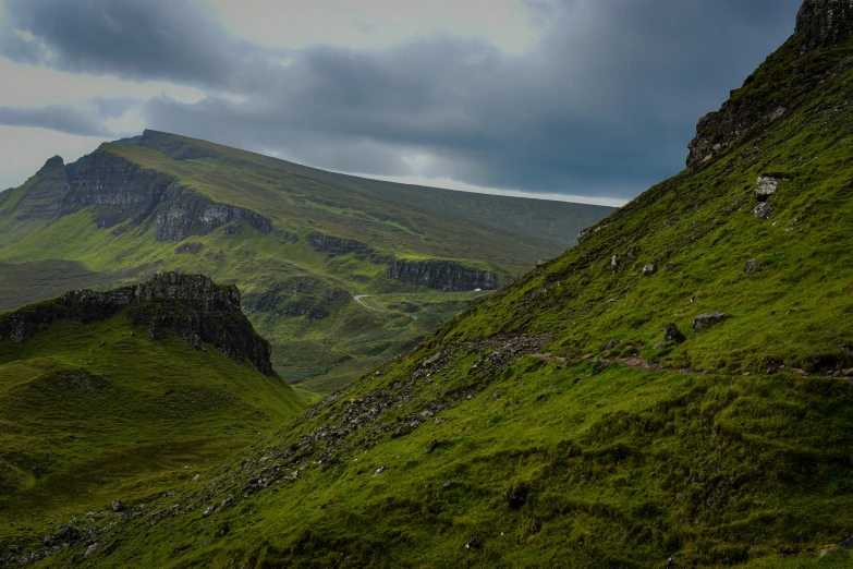 a hill covered in grass and animals near it