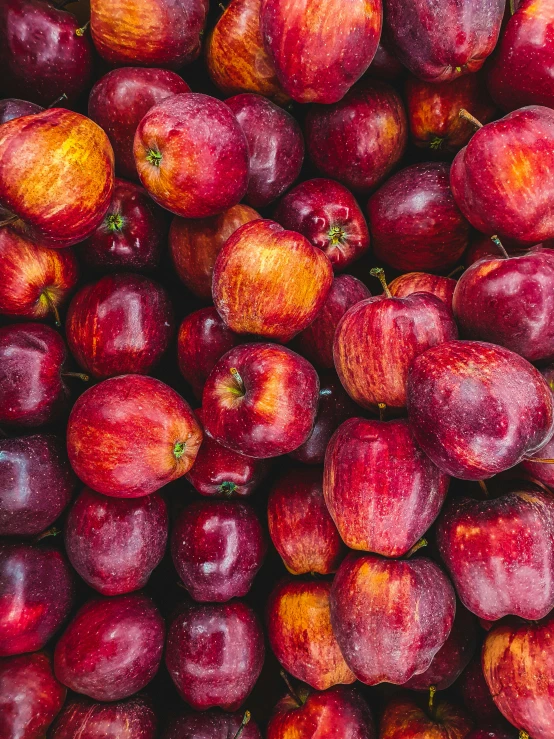 several red apples sitting in a pile together