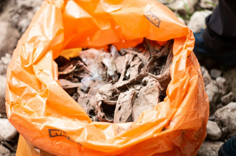 a brown bag filled with dead animals in the grass