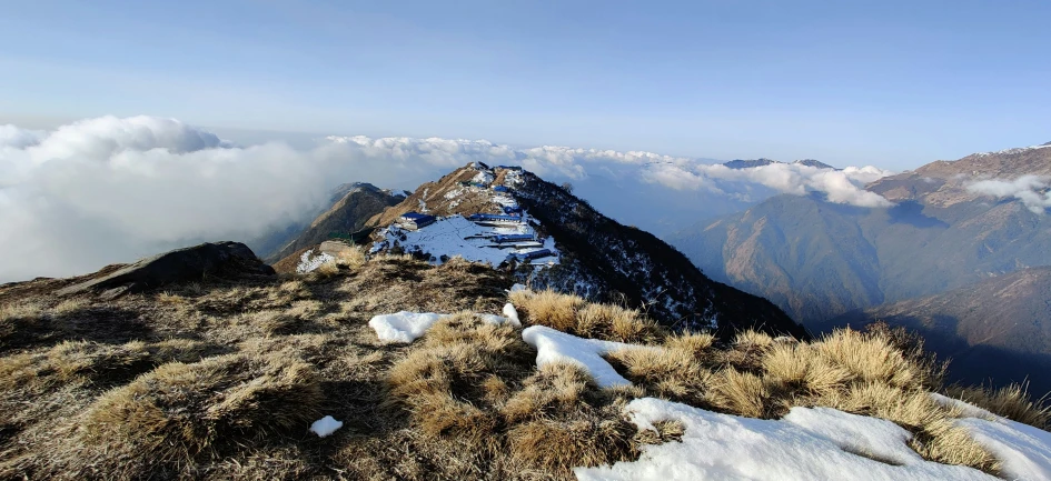 some tall mountains and bushes are covered in snow