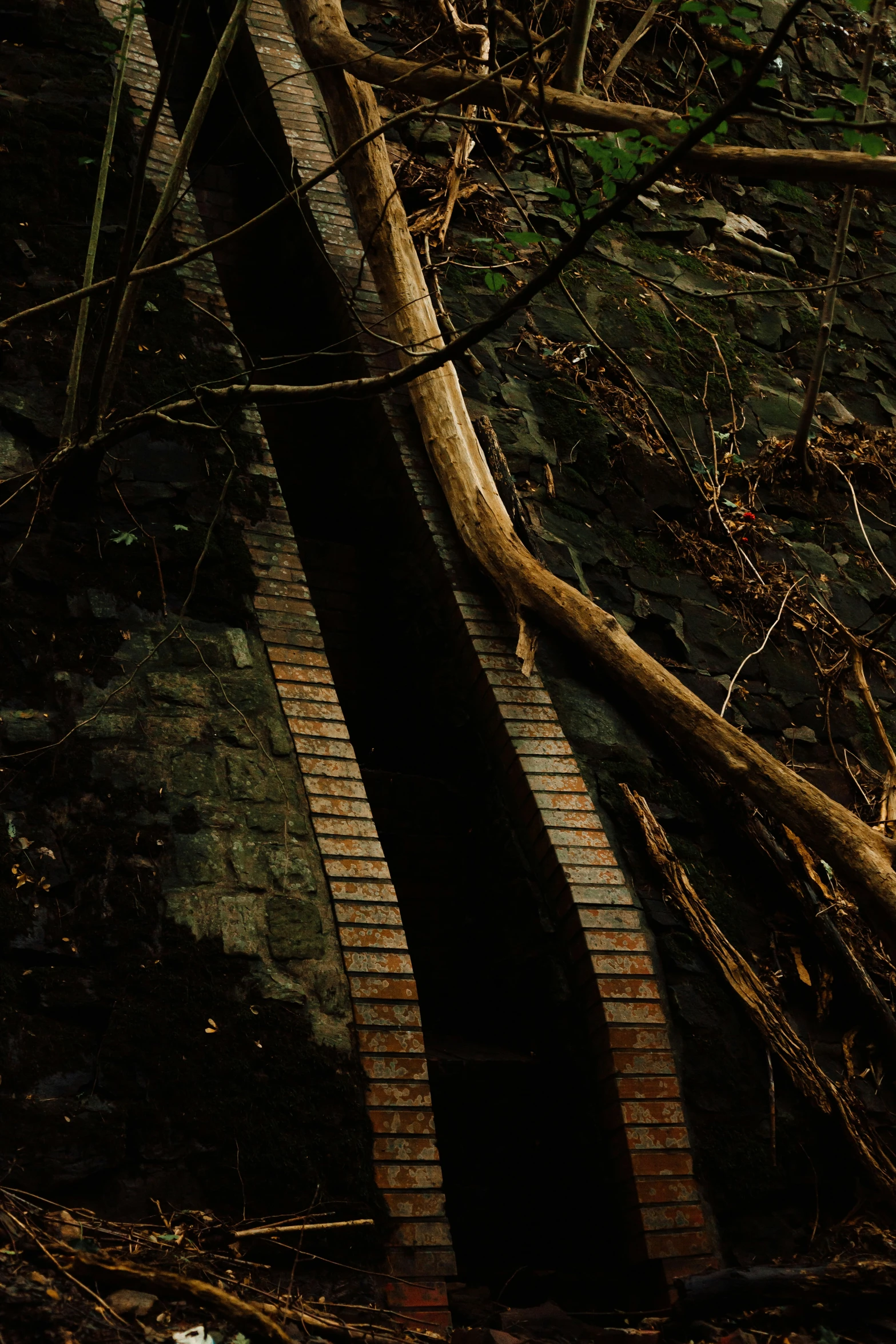 an image of a stone walkway surrounded by nches