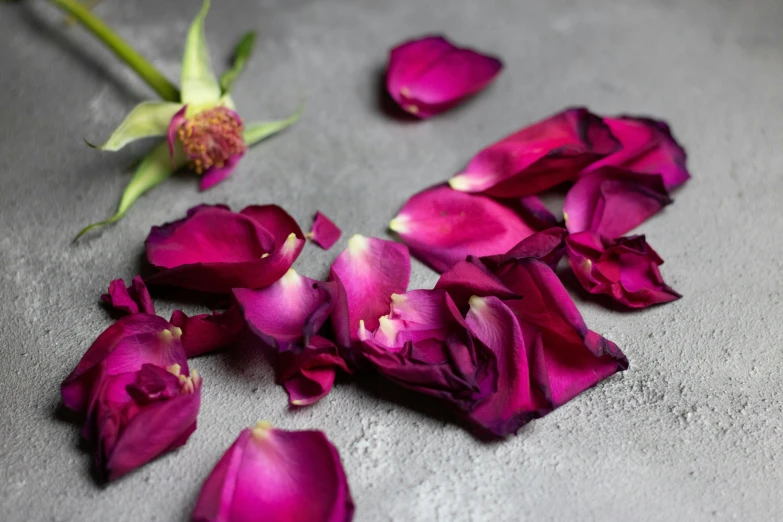 a bunch of flowers on the floor that has been cut