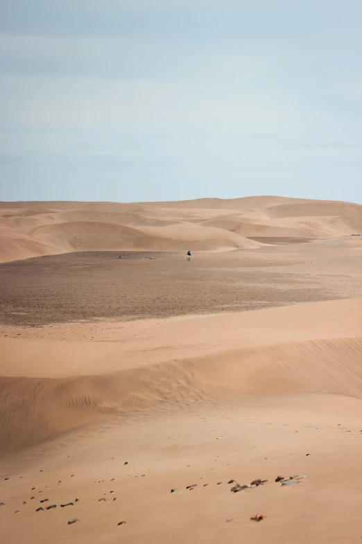 a man flying a kite in a desert