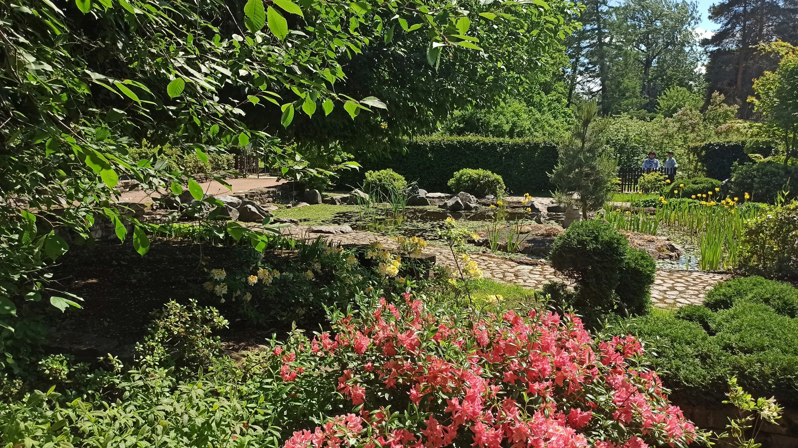 a bunch of trees sitting next to some red flowers