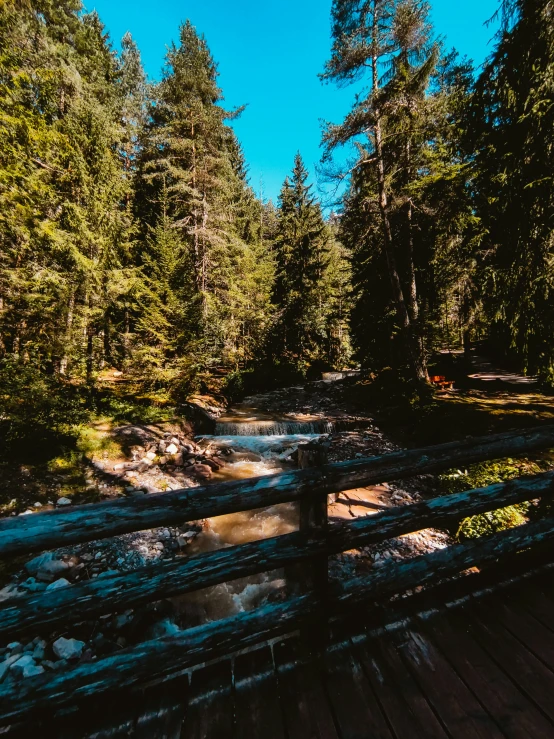 a wooden bridge that is next to a bunch of trees
