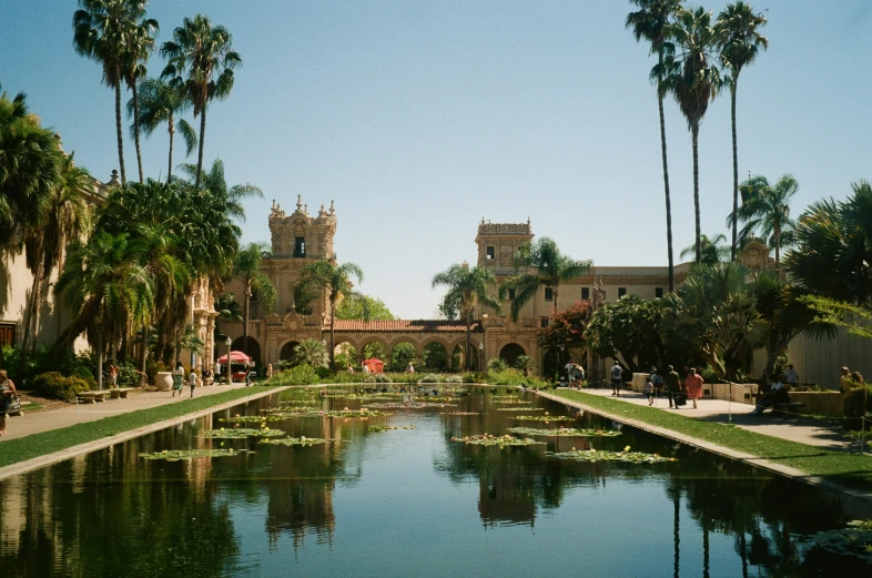 a body of water surrounded by trees and bushes