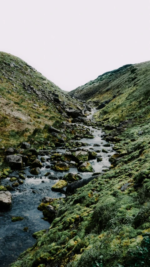 some water some green grass hills and white sky