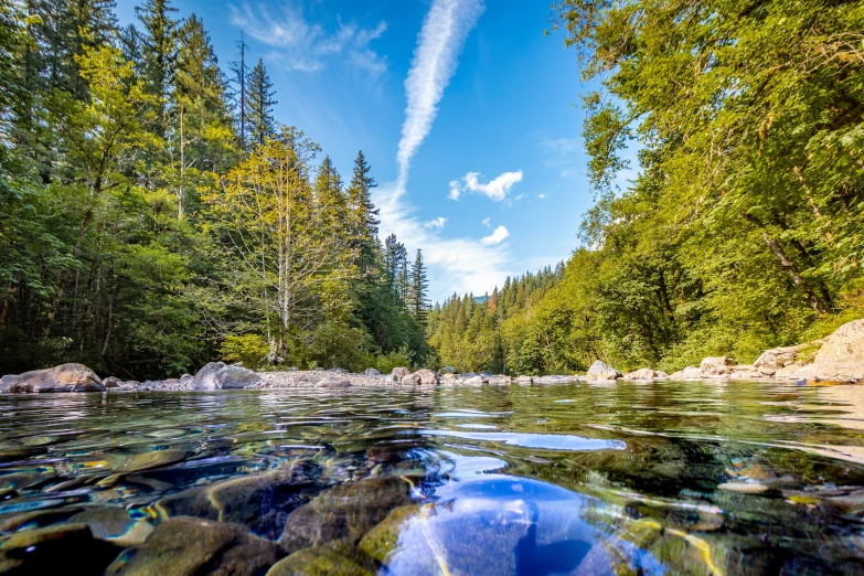 clear river with stones and trees around it