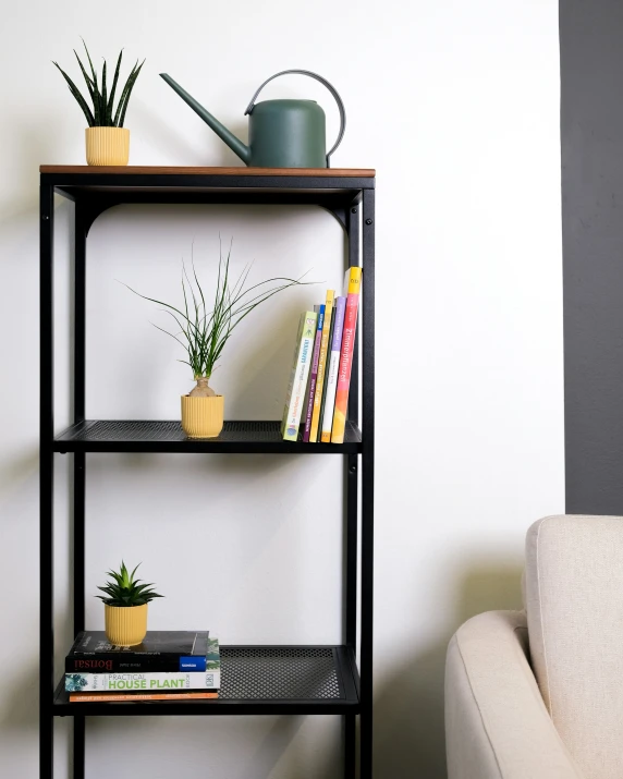 bookshelf with three shelves and some potted plants