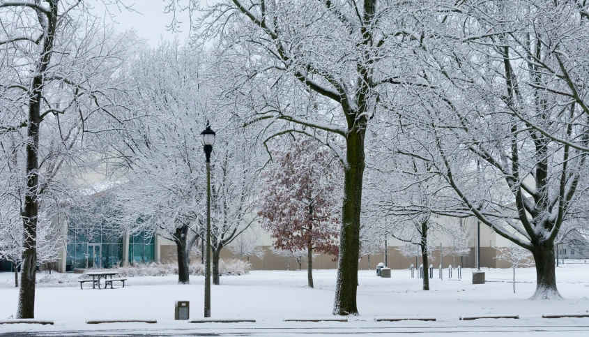 snow is falling in the trees and the sidewalk