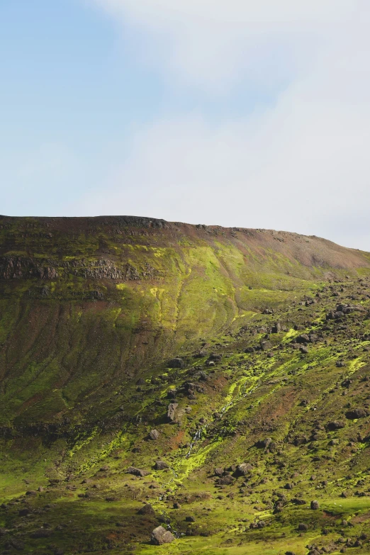 the green slope with a sheep on top