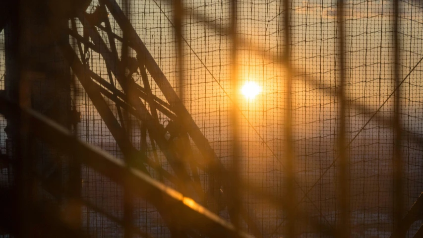 sun through a meshed window overlooking a lake