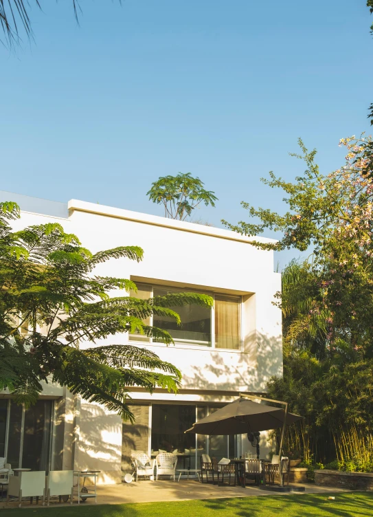 a view of a house through trees looking out onto the patio