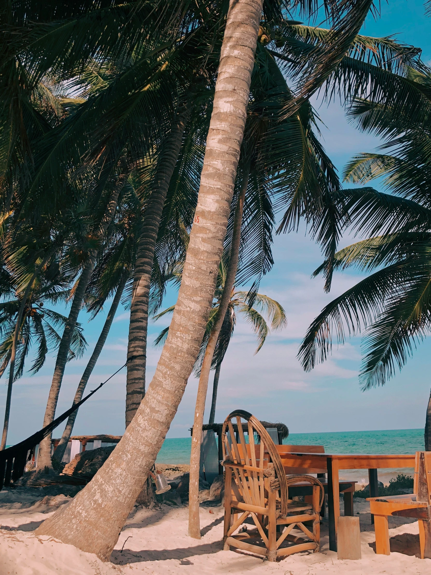 several wooden chairs and tables under palm trees on a beach