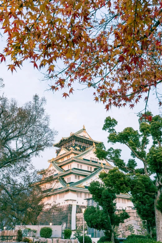 an ornate building surrounded by greenery and trees