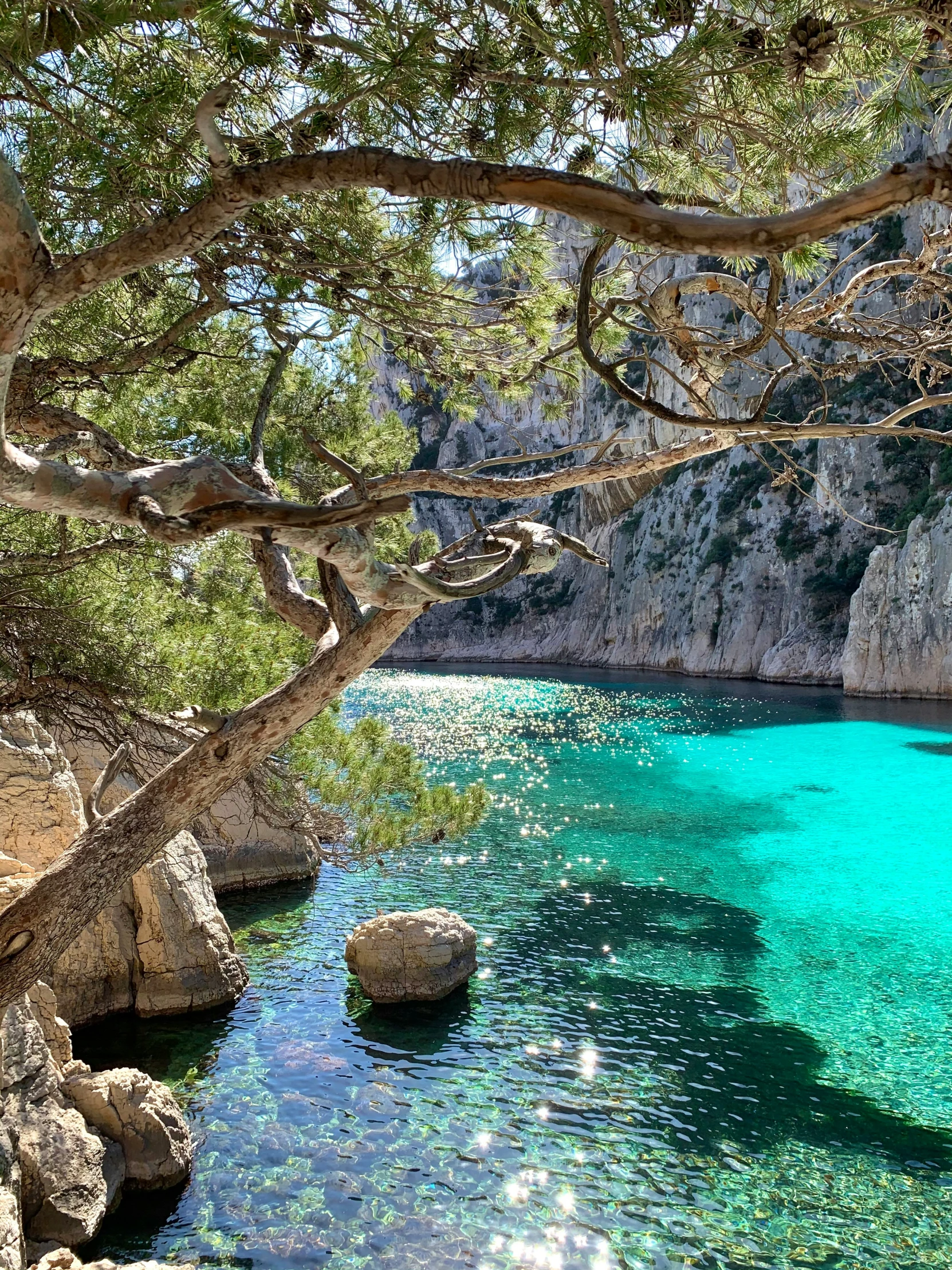 the river is colored blue and green as well