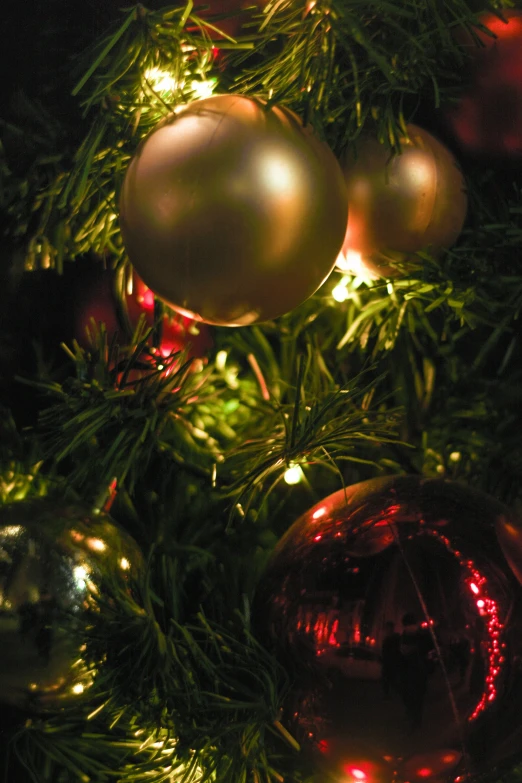 ornaments are hanging from a christmas tree at night