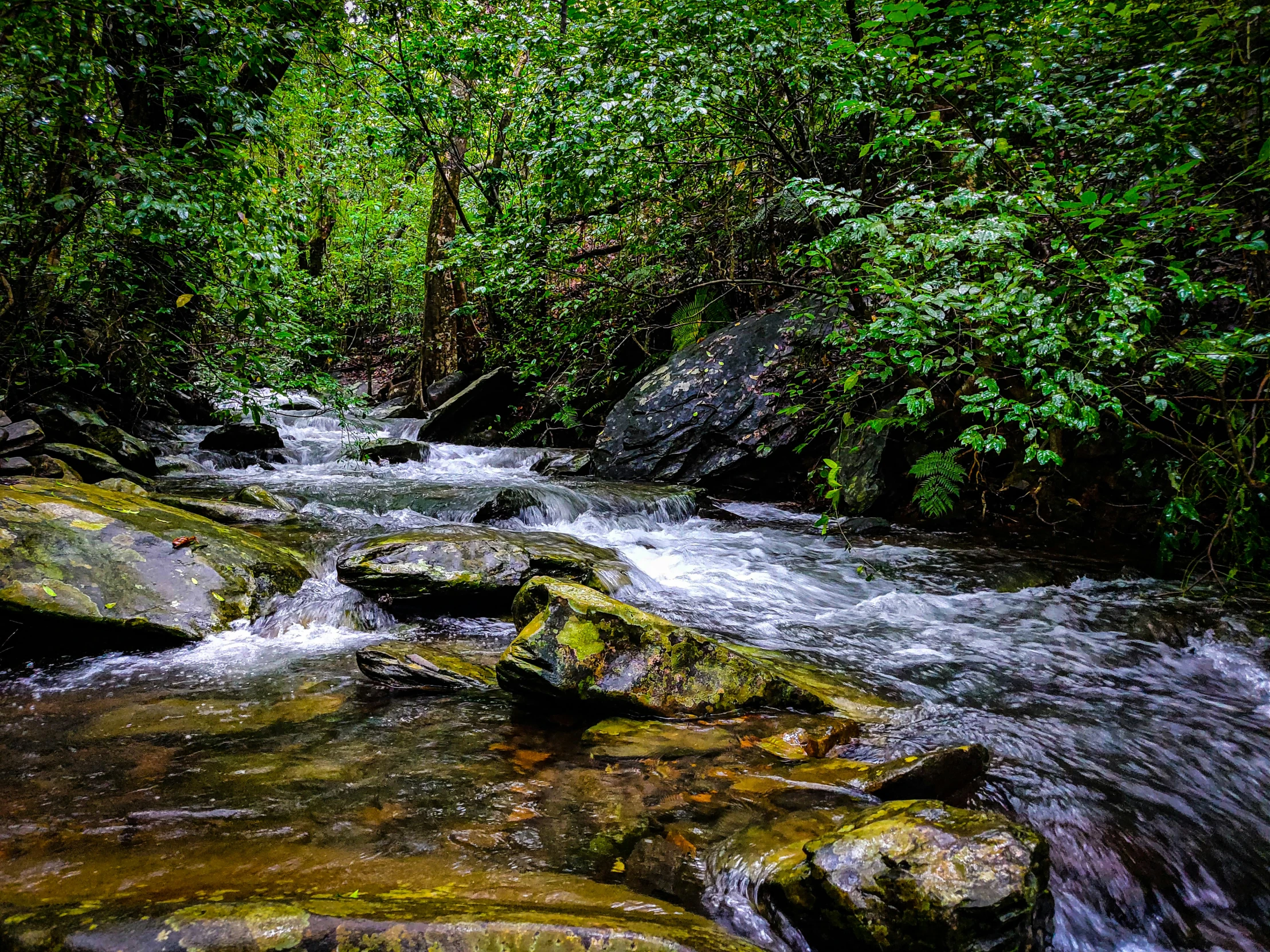 a river that has a few rocks in it