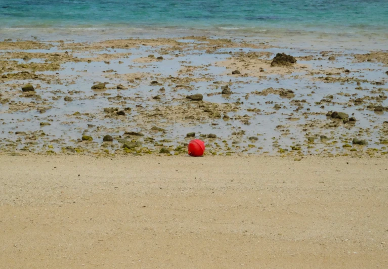 the image is an image of a person on the beach