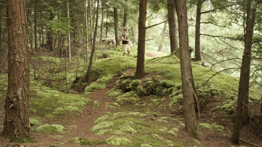 a dog in the woods is running towards soing