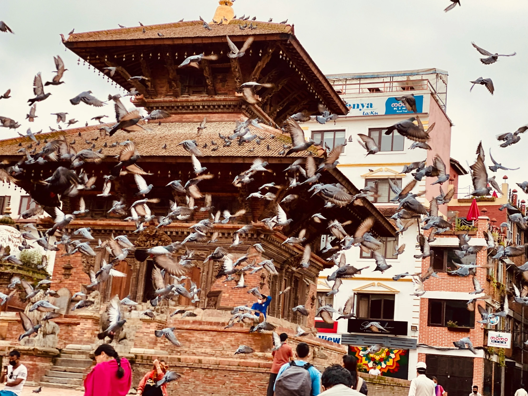 a group of people with birds in the air