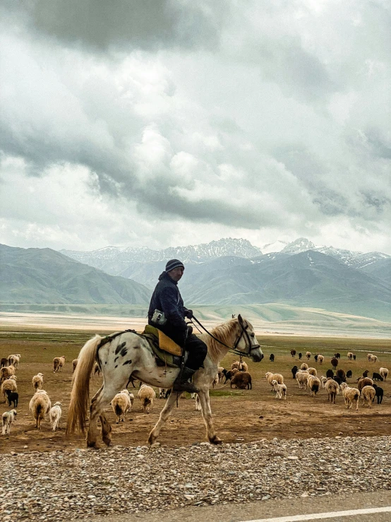 a man is riding a horse, as the herders walk on the side