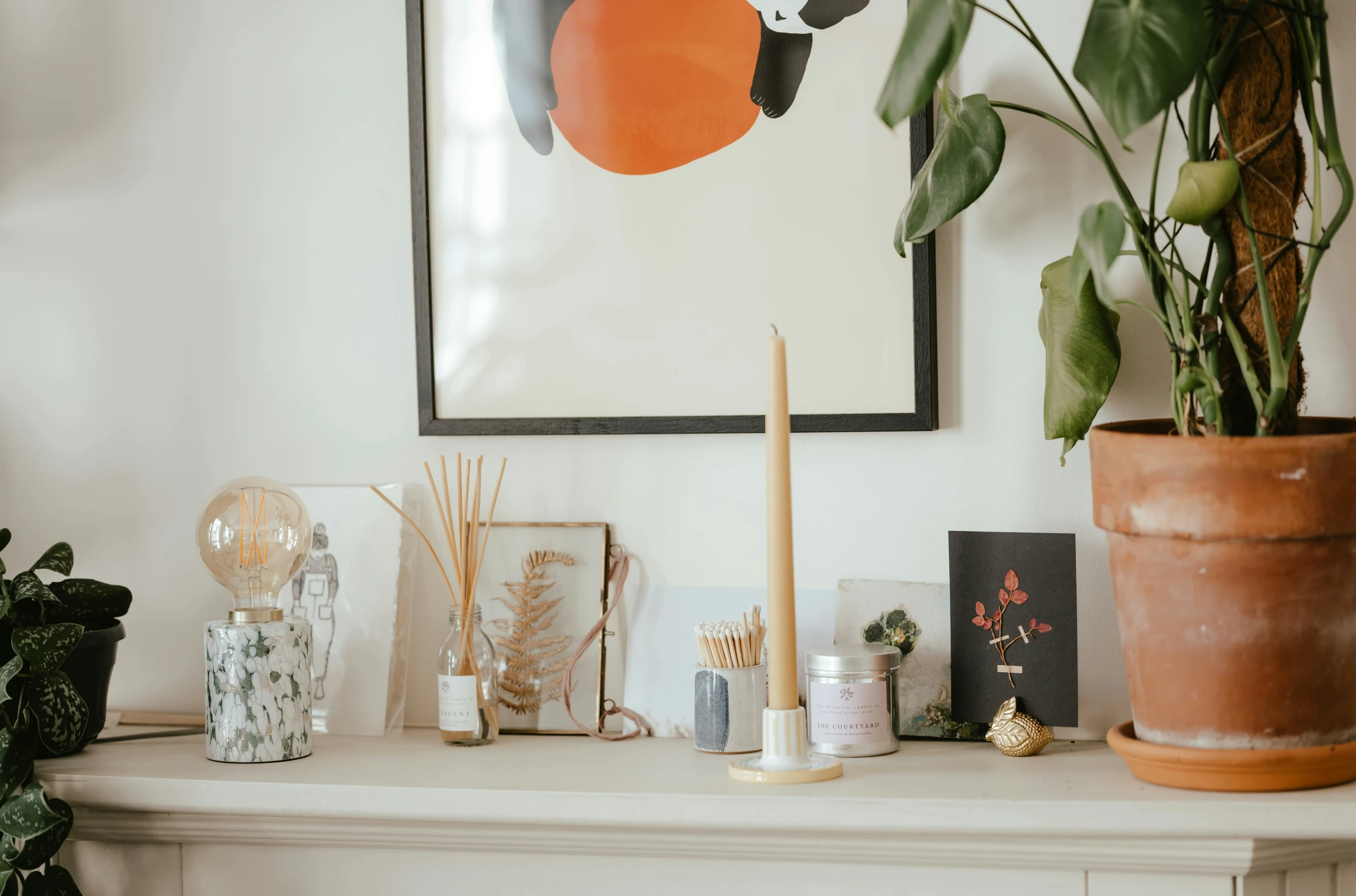 a picture of plants sitting on top of a mantle