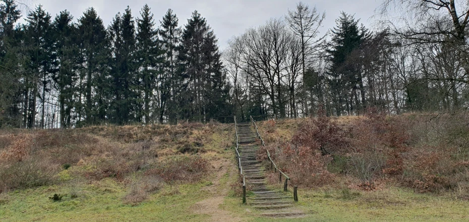 a set of stairs that have been set in a field