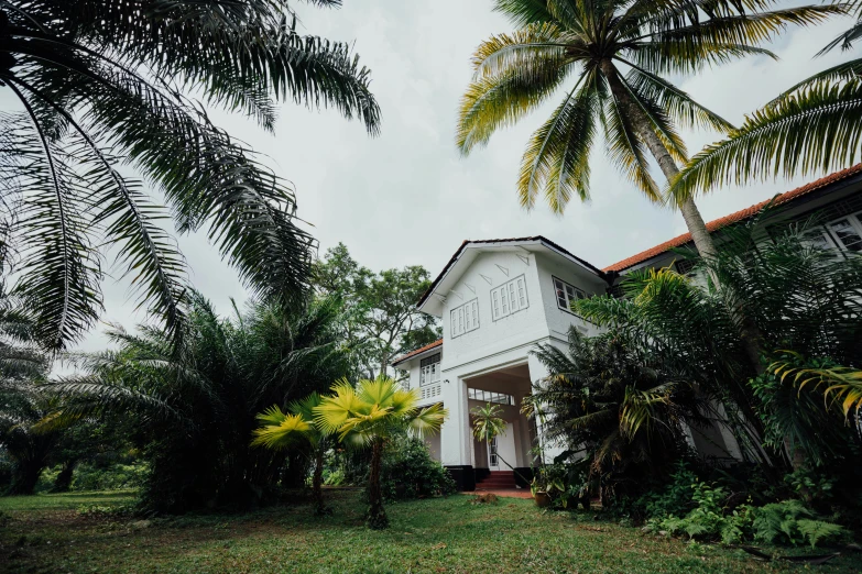 a small white building with some trees on the side of it