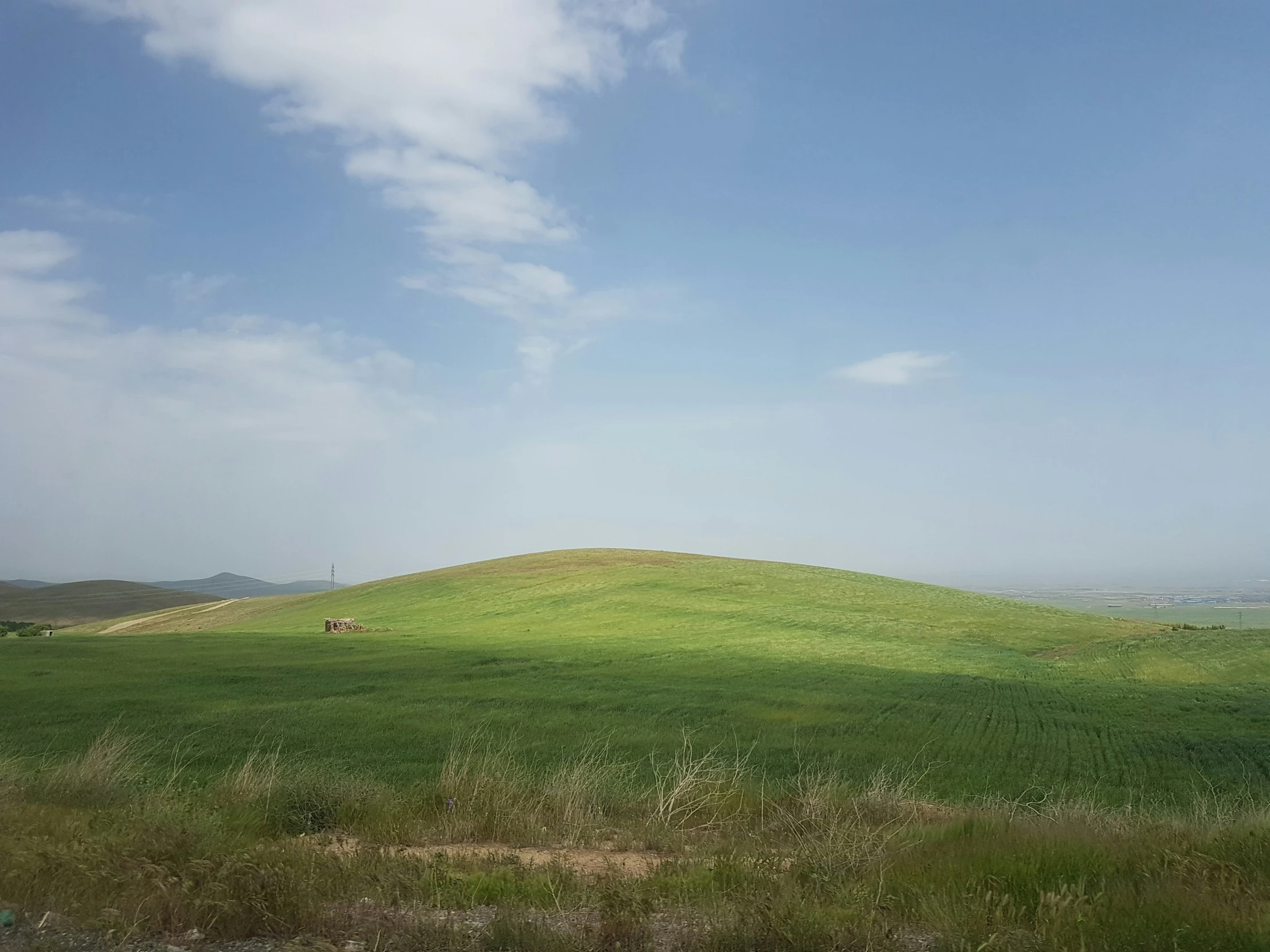 there are many horses standing on a grassy hill