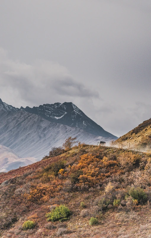 the sheep is grazing on the hill with a mountain in the background