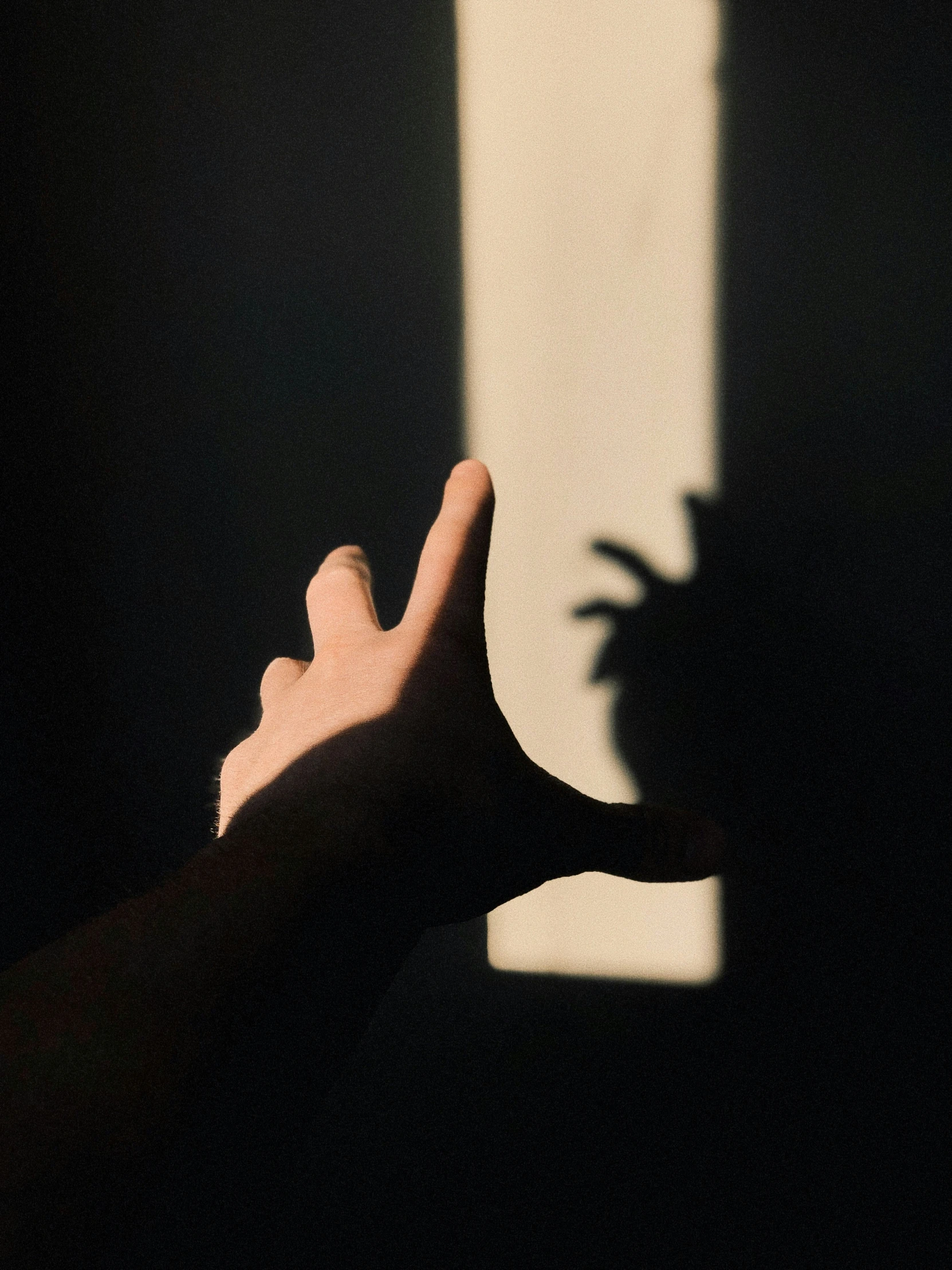 a hand holding a camera with long shadow