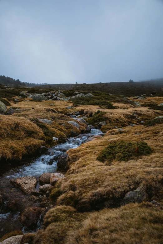 a stream flowing between two tall mountains under a gray sky