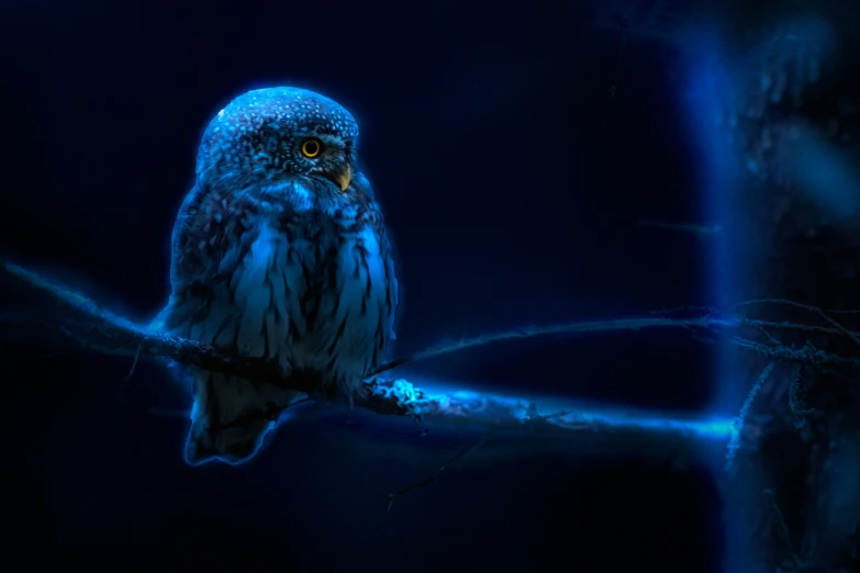 a blue owl is perched on a nch