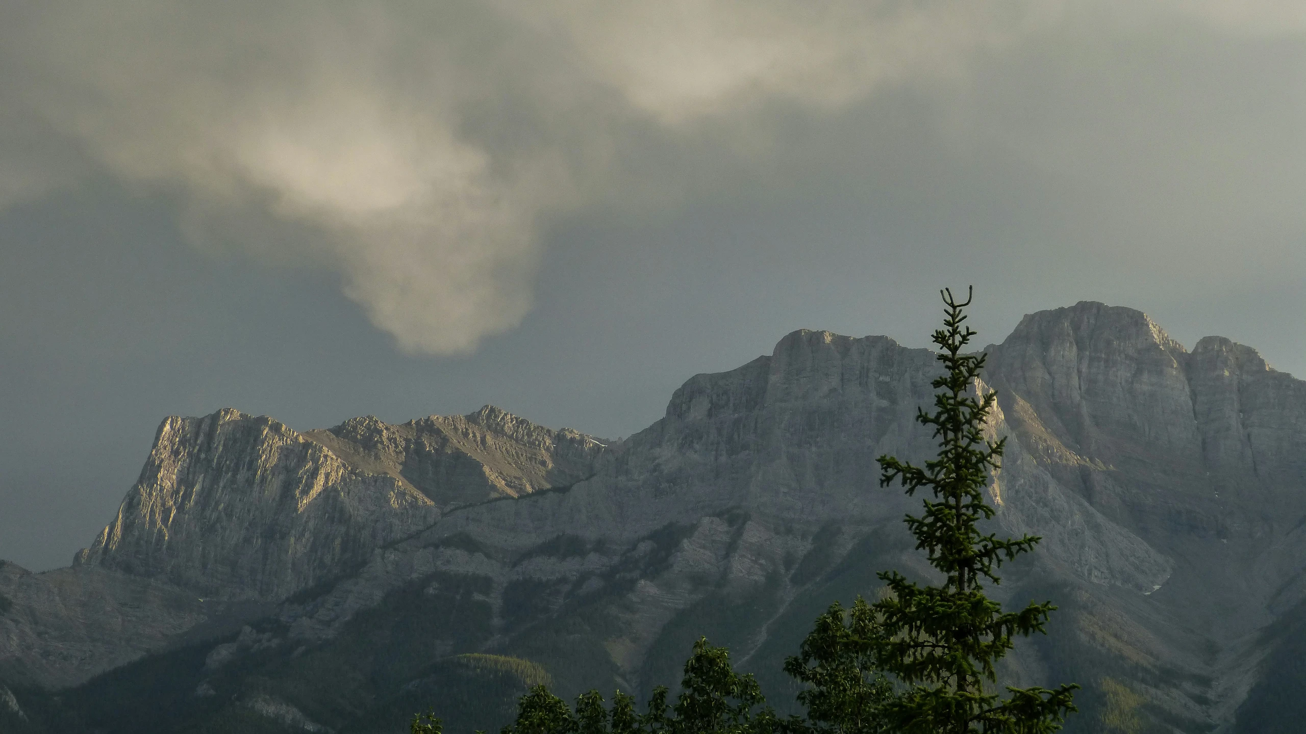 a mountain range with a few trees in the foreground and a cloudy sky in the background