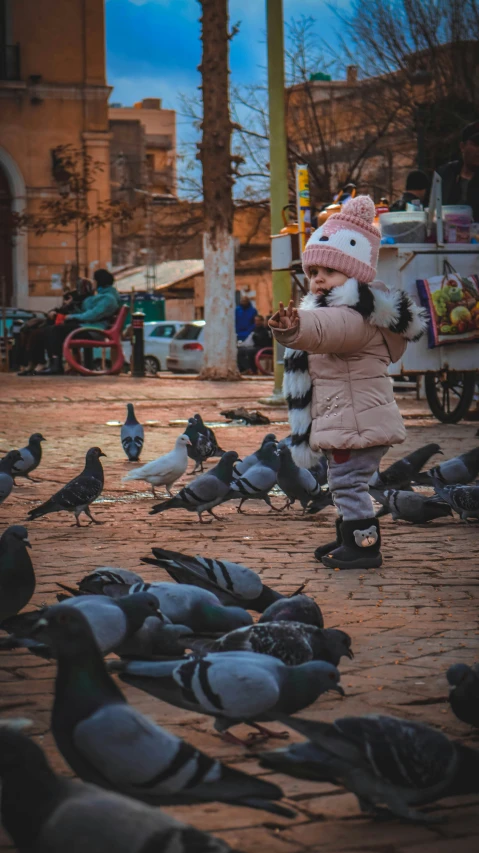 a little girl in a parka feeding pigeons