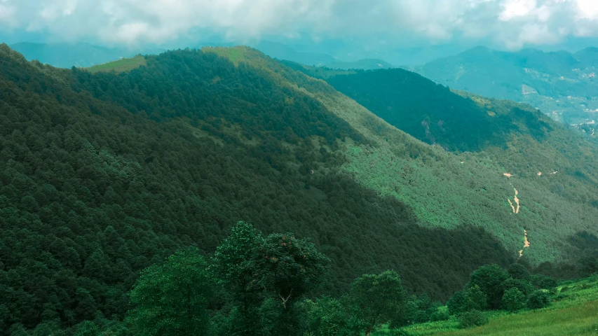 trees in the foreground with a mountain view on the other side