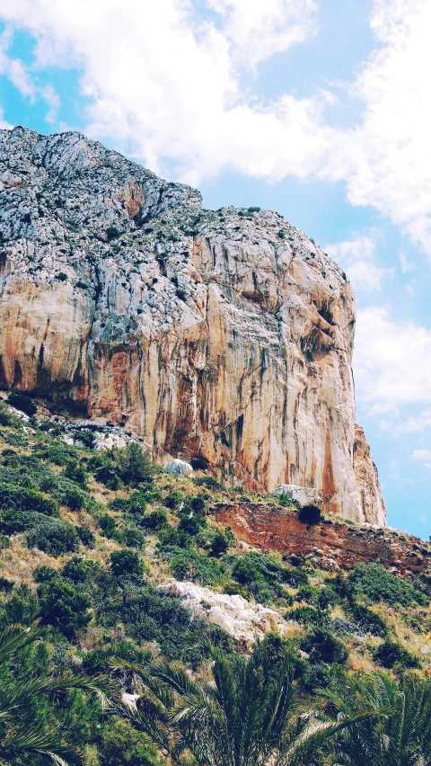 an up close view of a mountain in the middle of a grassy area