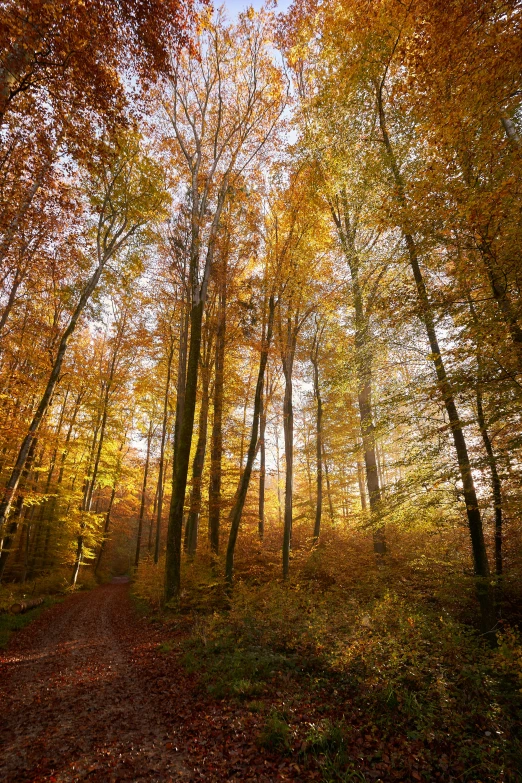 autumn is a great time to start hiking