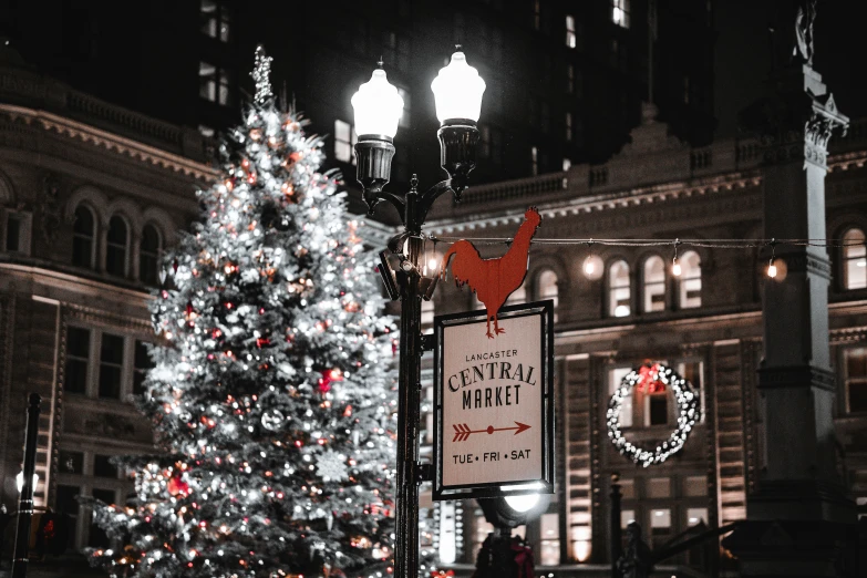 a lighted christmas tree in front of a building